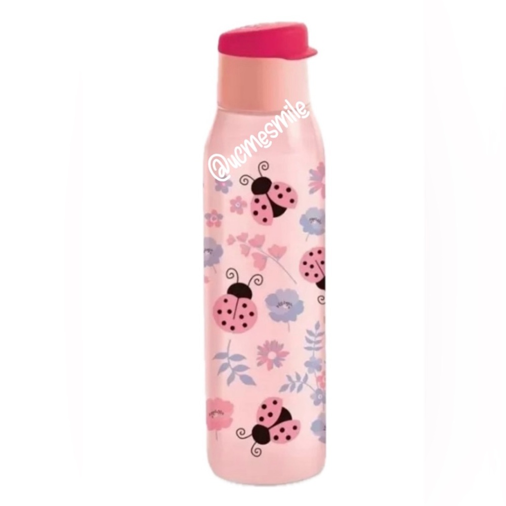Tupperware Ladybug Eco Water Bottle